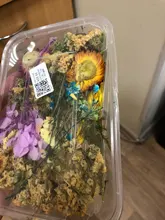 1 caja de hojas de flores prensadas reales, resina de margaritas secas, calcomanías de belleza para uñas, moldes de epoxi, embellecedores para fabricación de joyas