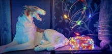 String-Light Timing-Battery Christmas-Decoration Remote-Control Festive Party Copper
