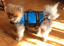 Chaleco Salvavidas para perro, chaqueta Salvavidas para mascota, ropa de seguridad, traje de baño para mascotas, Chaleco de seguridad para verano