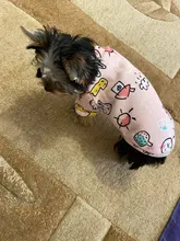 Traje para perros con estampado de animales, abrigo suave de algodón para mascotas, Jersey, camisa, chaqueta, suéter, ropa para mascotas