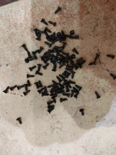 Tornillo de cabeza plana para carpintero, 100 Uds., 2x6mm, 2x7mm, 2x8mm, 2,5x8mm, 2,5x10mm, accesorios de hardware para mobiliario caja de madera