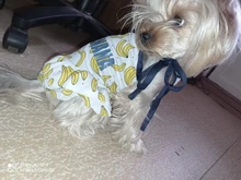 Vestido bonito de fruta para perros, Ropa de verano para pareja de mascotas, chaleco para perros pequeños, Chihuahua