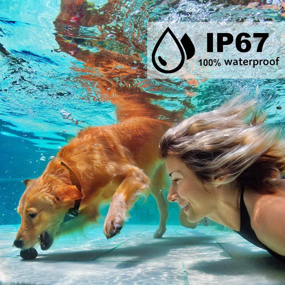Rechargeable Electric Remote Dog Training Shock Collar Waterproof For 1/2 Dogs 100g2280