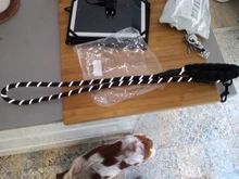 Correa de perro 1,5 m perro grande reflectante cuerda caminar Collar para perro grande fortalecer tracción arnés Nylon redonda medio perro cinturón