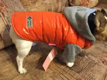 Hoodies Jacket Puppy French-Bulldog Small Dogs Waterproof Dog Chihuahua Winter Autumn