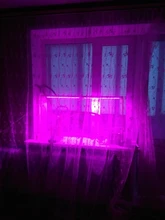 LED Grow Light 220V 110V Full Spectrum LED Lamp for Plants High Luminous Efficiency Phytolamp