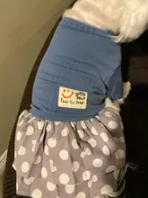 Dog-Dress Dogs-Skirt Yorkshire Summer Chihuahau Dot 