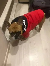 Jacket French Bulldog Dog Winter SUPREPET Coat Pet-Dog Dogs Large Cotton for Warm Perro