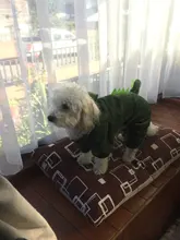 Ropa para perros pequeños y medianos, con dinosaurio de terciopelo, gruesa y cálida, De Cuatro Piernas, ropa para perros y gatos