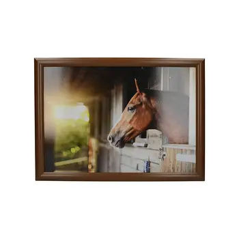 

Tray with a pillow GNET stallion 44x34 cm