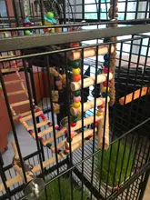 Toys Hamster Rope-Parrot Wood Ladder Pet-Bird Budgie Climb Home Harness Cableway Bites