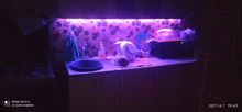 Tape Ribbon Led-Lights Light-2-30m Christmas Rgb Smd5050 Bluetooth Waterproof Flexible