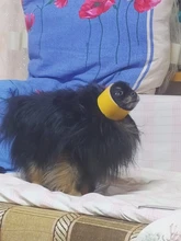 Al aire libre viajes de mascotas de doble bolsa de hombro portátil de viaje mochila al aire libre bolsa de transporte perro mascota frente perro bolsa de malla de mochila de la cabeza