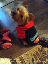 Ropa con estampado de dibujos animados para perro, abrigo cálido para invierno, chaqueta para perros pequeños, Chihuahua, Bulldog Francés, disfraz de peluche, ropa para mascotas