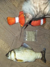 Doll-Pillow Cat-Toy Cat Mint Simulation-Fish Grass-Carp Funny New Pet-Molar