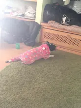 Pet Clothing Costume Outfit Pajamas Fleece Winter Apparel Small Warm 30 Four-Legs Jumpsuit