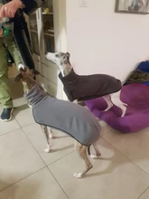 Clothing Pullovers Pet-Coat Pitbull Dogs High-Collar Winter Mascotas Large Medium Big