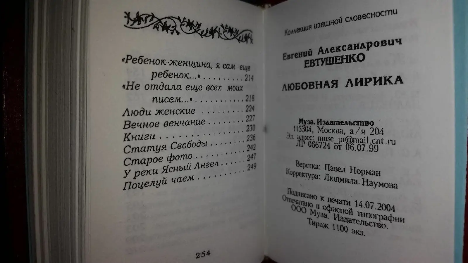 Рисунок 5 - Современная мини-книга 2004 года