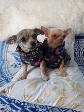 Ropa de invierno para mascotas, atuendo con chaleco cálido para perros pequeños, abrigo para perro, Chihuahua acolchado, a prueba de viento, 20
