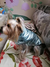 Ropa para perros grandes, chaleco impermeable para perros grandes, chaqueta de otoño e invierno, abrigo para perros cálidos, ropa para perros, Chihuahua Labrador S-7XL