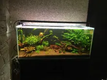 LICAH-luz LED para cultivo de plantas, acuario, LDP-1000, Envío Gratis