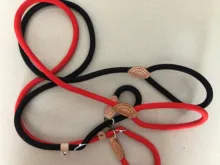 Rope-Belt Pet-Products Dog-Harness Dog-Lead-Leash Lightweight Nylon Training Walking