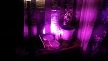 LED Grow Floodlight Seeding Plants-Tent Flower Phyto-Box Range-Lamp Light-Phytolamp Outdoor