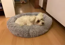 Bed Sofa Kennel Sleeping-Cushion-Mat Cat House Puppy-Plush Pet-Dog Washable Fluffy Round