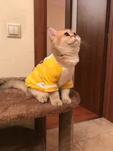 Shirt Costume Vest Cat Outfit Carton Cats Sweet Kitten Autumn/winter for Kedi-Clothing