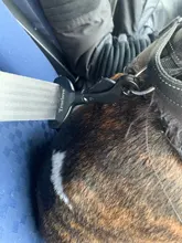 Lock-Harness Seat-Belt Collar Dog-Supplies Vehicle Truelove Safety Pet-Dog Lightweight