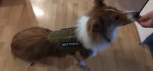 Dog-Harness Loop Dog-Molle-Vest Working Tactical with 2-Metal Buckle Hook Clip Handle
