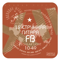

B12-fb strings for 12 string guitar, fosofray bronze, Mr musician