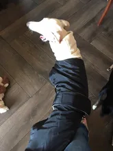 Jacket Clothing Coat Greyhound Waterproof Dog Dogs Large Super-Warm Medium Thick 