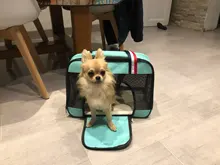 Backpack Dog-Carrier-Bag Travel-Bag Dogs Chihuahua Pet-Puppy Yorkie Cats Small Breathable