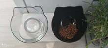 Gato doble tazón cuenco para gatito de perro Material transparente antideslizante de la comida con protección Cervical transparente gato suministros