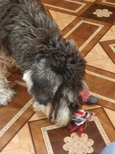 Dog-Toys Pets-Accessories Puppy Animals-Shape Plush Small Dogs Squeaker Ropes for 