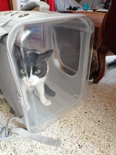 Bolsa de transporte portátil para perros y gatos, cápsula espacial transpirable, bolsa de viaje para astronauta, mochila transparente para mascotas pequeñas para exteriores