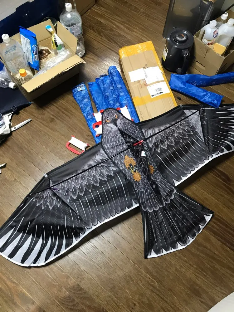 Free Shipping With100m Handle Line Outdoor Fun Sports 1.6m Eagle Kite High 