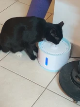 2.4L Automatic Cat Water Fountain LED Electric Mute Water Feeder USB Dog Pet Drinker