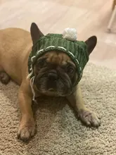 Pet-Hats Dog-Cap Dog-Accessories French Bulldog Small-Dogs Christmas Ball-Headwear Winter