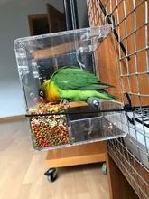 Box Cage Perch-Stand Birds-Supplies Bird-Parrot-Feeder Feeding-Tools Hanging Parrots