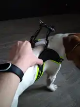 Breathable Nylon Mesh Dog Harness Reflective Adjustable Dog Harness and Leash Set For