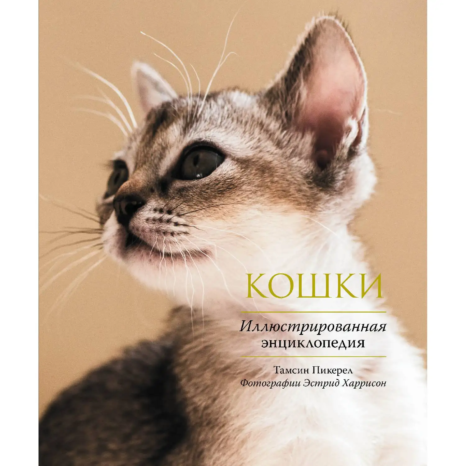 Кошки. Иллюстрированная энциклопедия (Тамсин Пикерел, 978-5-699-71971-6, 288 стр., 12+)