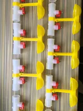 Chicken-Tools Drinking-Cup Water-Bowls Quail Pheasant 40