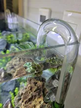 Aquarium Skimmer Lily-Pipe Fish-Tank-Accessories EXTERNAL-FILTER Glass Inflow Outflow