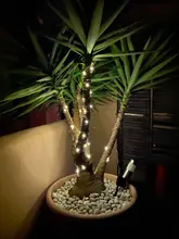 String-Lights Garland Solar-Lamp Fairy LED 20m-Decor Holiday Christmas-Party Garden Outdoor