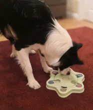 Feeder Toys Dispensing Dog Puppy Dog-Puzzle Training-Games Slow Interactive Small IQ