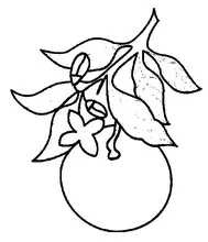 Muy bonita smile-almohada realista para patatas fritas, juguetes de peluche, muñecas interesantes, regalo de cumpleaños