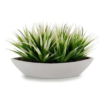 

Planter Ibergarden (10 x 17 x 26 cm) Oval