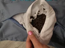 Colchoneta de Yoga de lino natural con diseño de palma de coco, colchoneta deportiva con bolsa, estera de acupresión con puntas de loto